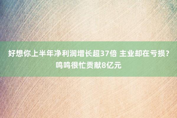 好想你上半年净利润增长超37倍 主业却在亏损？鸣鸣很忙贡献8亿元