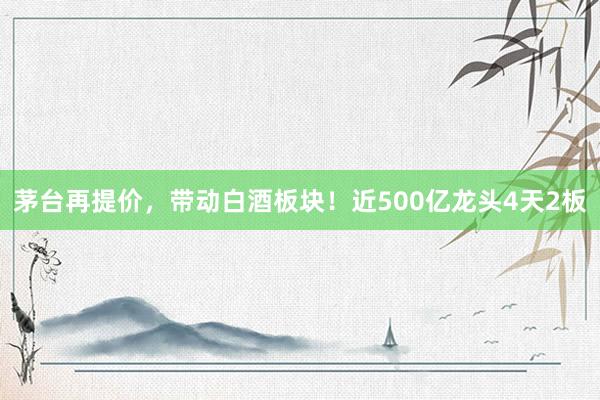 茅台再提价，带动白酒板块！近500亿龙头4天2板