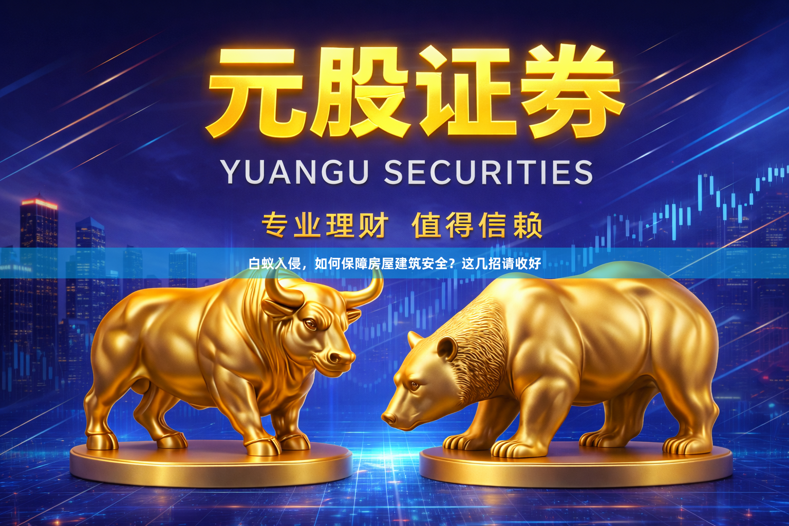 白蚁入侵，如何保障房屋建筑安全？这几招请收好